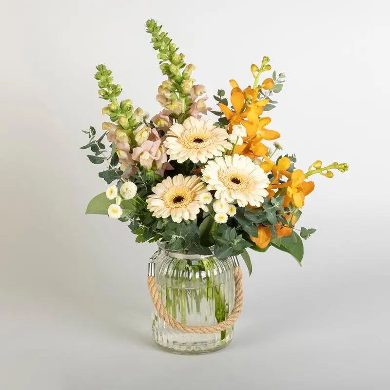Autumn Orchids