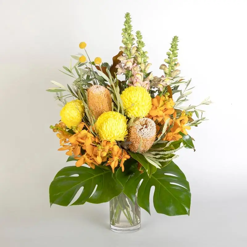 Beautiful Banksia