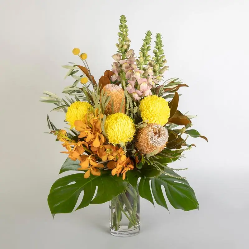 Beautiful Banksia