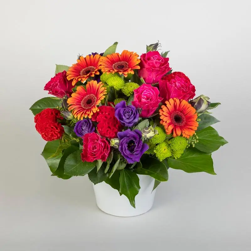 Viva Flowers