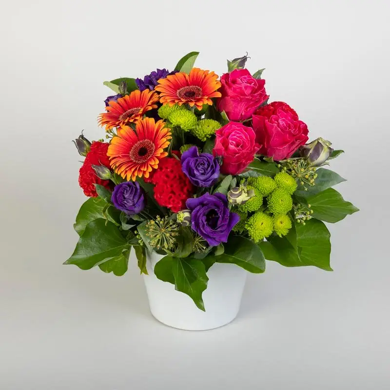 Viva Flowers