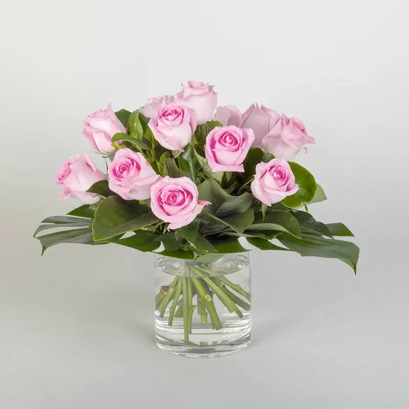 Eternal Roses in Pink